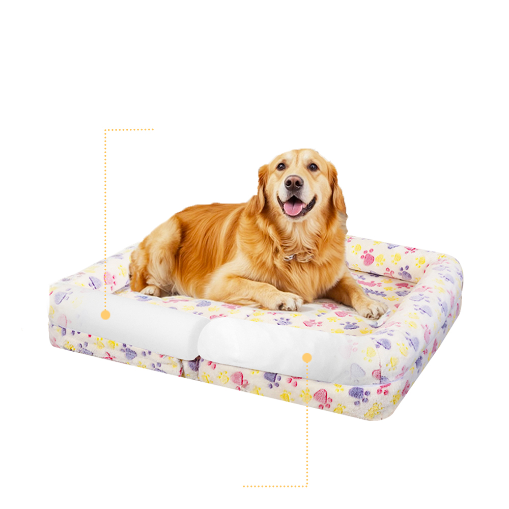 Tổ thú cưng đa chức năng Paw dễ thương